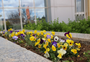 استقبال از بهار و زیباسازی فضای سبز دانشگاه با کاشت گل و گیاهان فصلی و زینتی