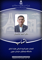 انتصاب سرپرست دانشگاه بیرجند به سمت عضو کمیته استانی هیأت امنای دانشگاه فرهنگیان خراسان جنوبی